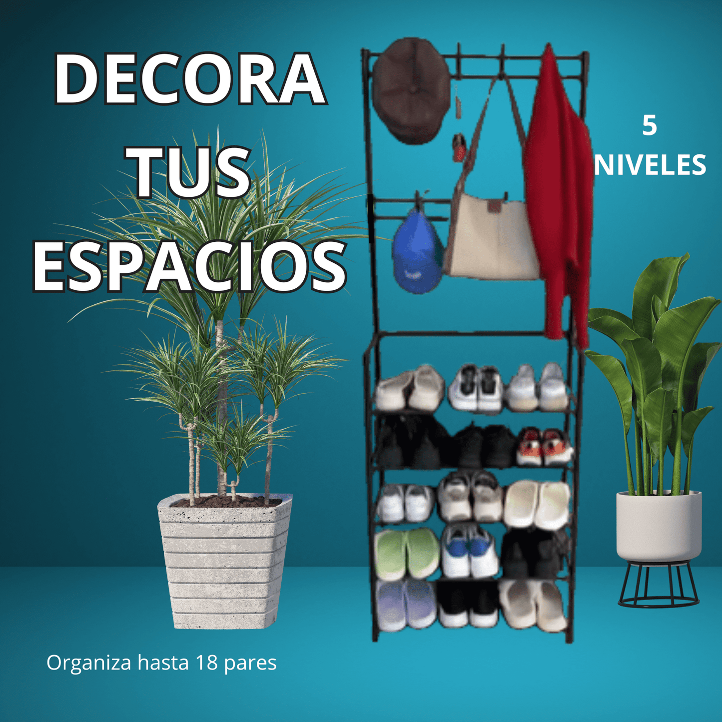 Zapatera Armable